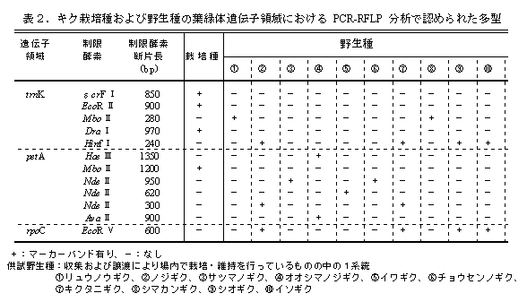 表2 キク栽培種および野生種の葉緑体遺伝子領域におけるPCR-RFLP分析で認められた多型