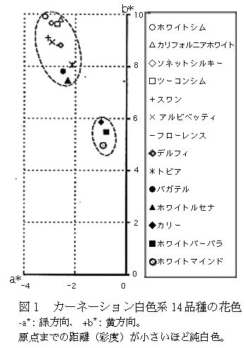 図1 カーネーション白色系14品種の花色