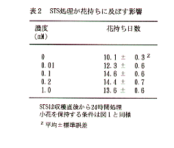 表2 STS処理が花持ちに及ぼす影響