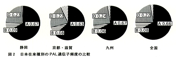 図2 日本在来種別のPAL遺伝子頻度の比較