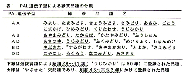 表1 PAL遺伝子型による緑茶品種の分類