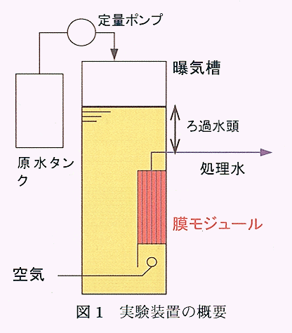 図1 実験装置の概要