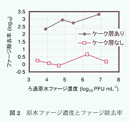 図2 原水ファージ濃度とファージ除去率