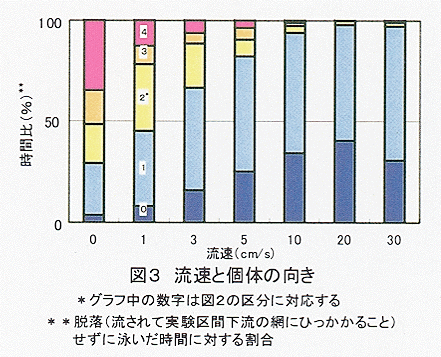 図3 流速と個体の向き