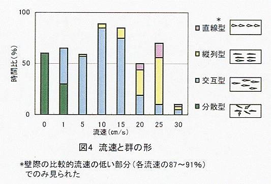 図4 流速と群の形
