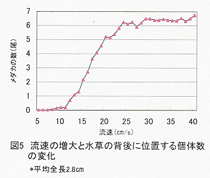図5 流速の増大と水草の背後に位置する個体数の変化