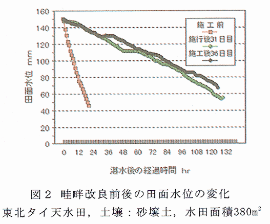 図2 畦畔改良前後の田面水位の変化