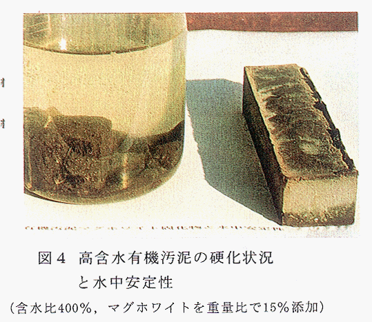 図4 高含水有機汚泥の硬化状況と水中安定性