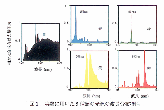 図1 実験で用いた5種類の光源の波長分布特性