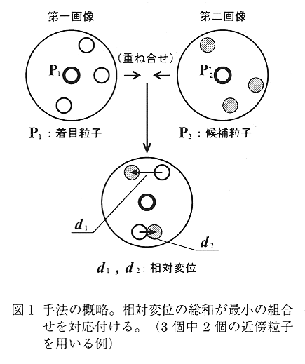 図1 手法の概略