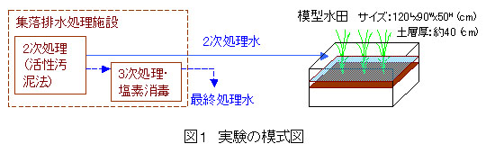 図1 実験の模式図