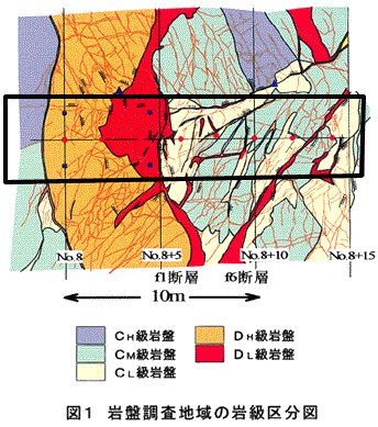 図1 岩盤調査地域の岩級区分図