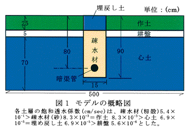 図1 モデルの概略図