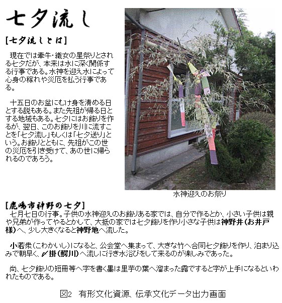 図2b 有形文化資源、伝承文化データ出力画面