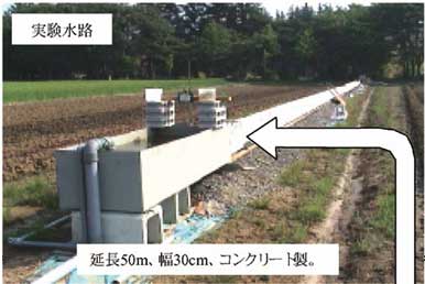 図1 実験水路、実験区の種類と各部の名称および個体数分布の観測方法