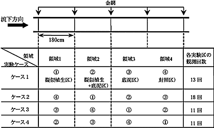 図2 実験区の配置順の入れ替えと実験条件