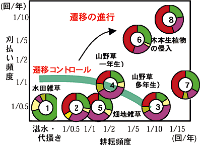 図2 休耕後の保全管理頻度と植生遷移