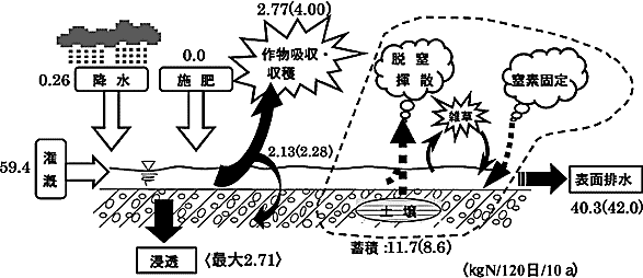 図1 無肥料水田の潅漑期の窒素収支(括弧内が農薬区、外が無農薬区の数値)
