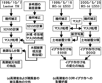 図3 衛星画像データの解析手順