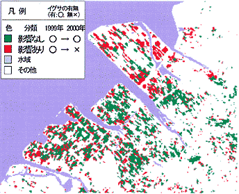 図4 高潮害の後作(イグサ)への影響