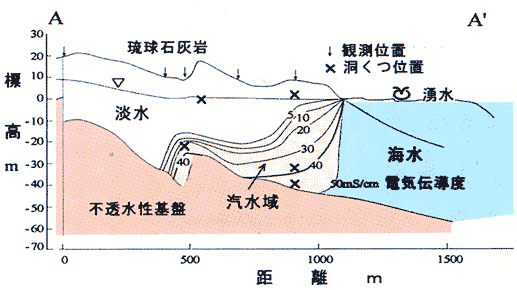 図4 AA'断面の汽水域の分布図