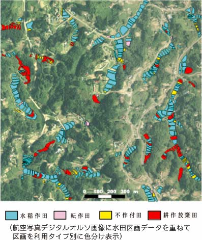 図1 調査地区の水田の利用タイプ