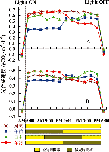 図3 定植後8日目(A)及び16日目(B)におけるサラダナの光合成速度の変化