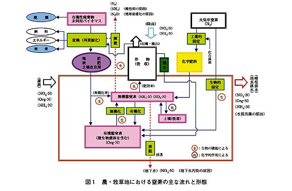 図1 農・牧草地における窒素の主な流れと形態