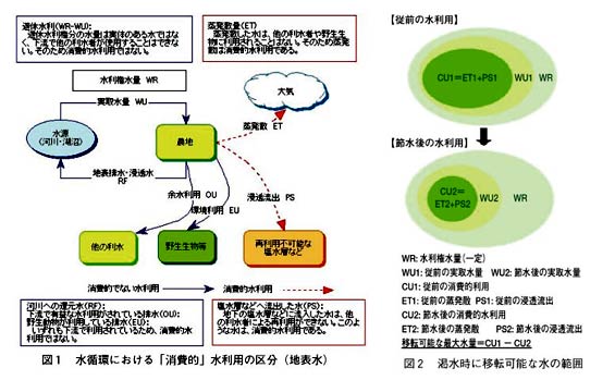 図1 水循環における「消費的」水利用の区分(地表水)