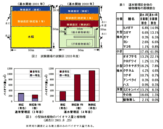 図2 試験圃場の試験区