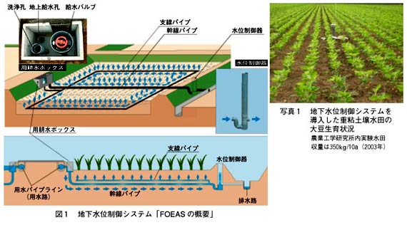 図1 地下水位制御システム「FOEAS」の概要
