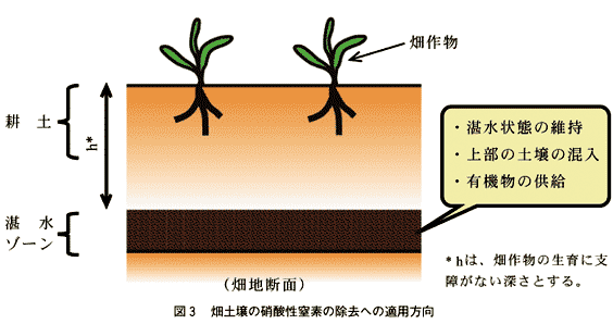 図3 畑土壌の硝酸性窒素の除去への適用方向