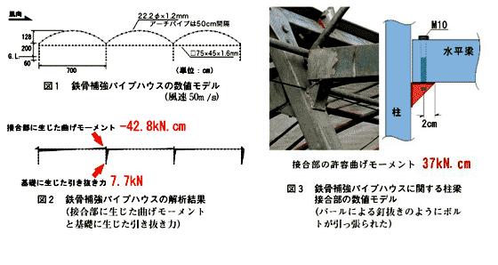 図1 鉄筋補強パイプハウスの数値モデル