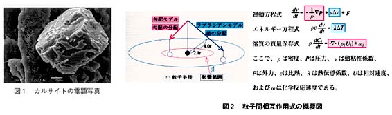 図1 カルサイトの電顕写真