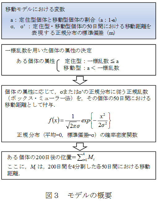 図3.モデルの概要