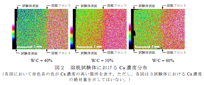図2.溶脱試験体におけるCa 濃度分布