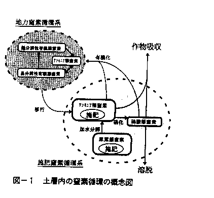 図1 土層内の窒素循環の概念図