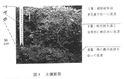 図4 土壌断面