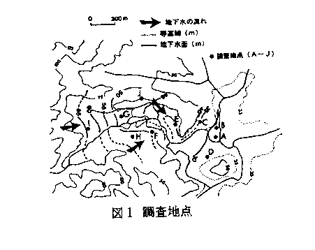 図1 調査地点