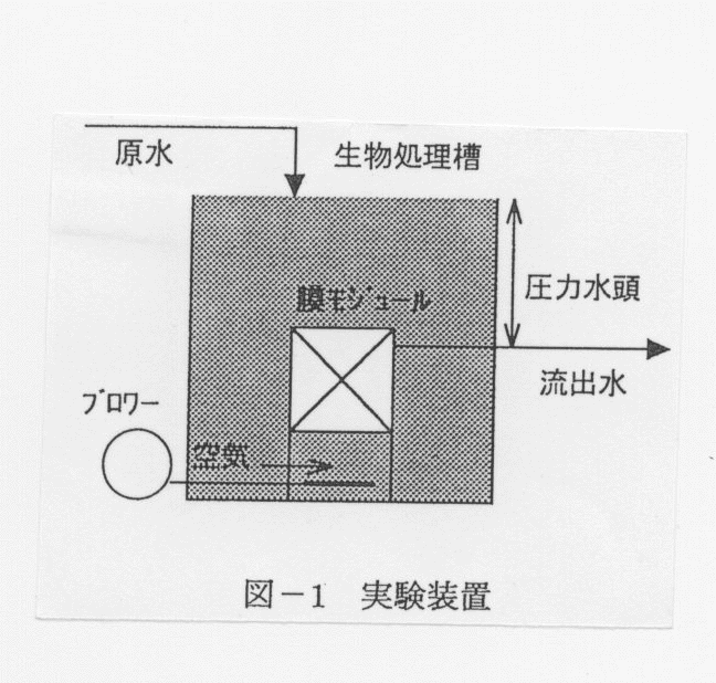 図1 実験装置