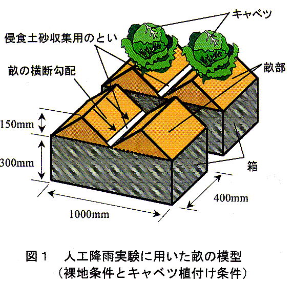 図1 人工降雨実験に用いた畝の模型