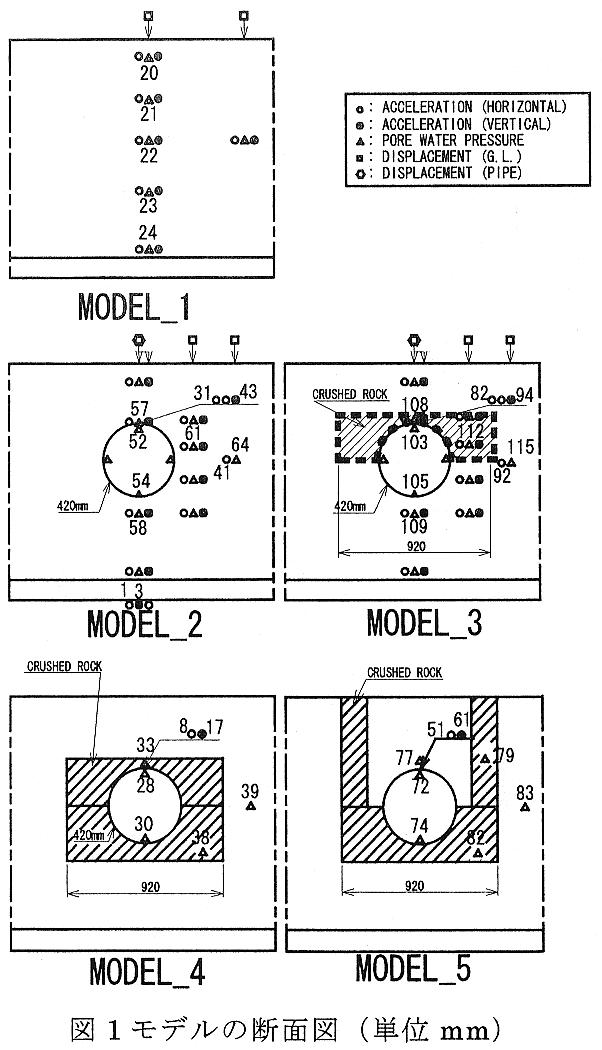 図1 モデルの断面図