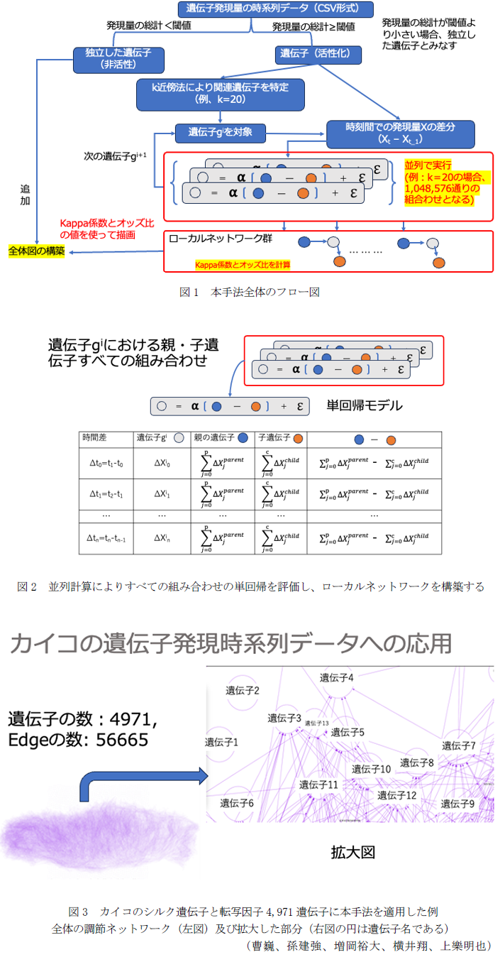 図1 本手法全体のフロー図,図2 並列計算によりすべての組み合わせの単回帰を評価し、ローカルネットワークを構築する,図3 カイコのシルク遺伝子と転写因子4,971遺伝子に本手法を適用した例