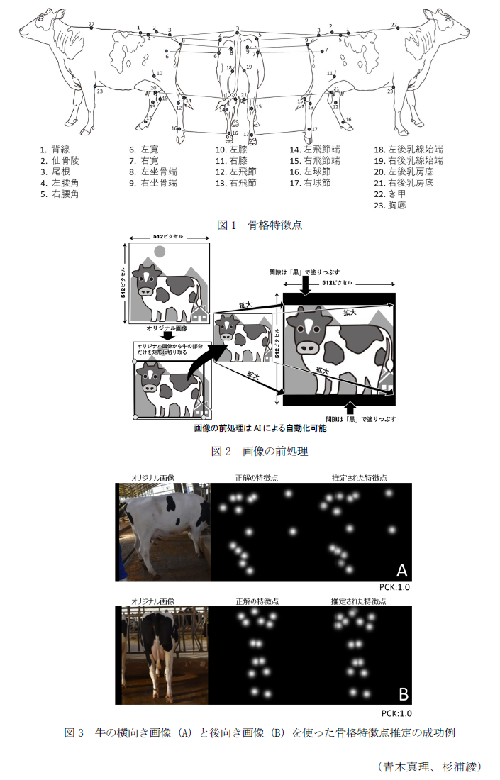 図1 骨格特徴点,図2 画像の前処理,図3 牛の横向き画像(A)と後向き画像(B)を使った骨格特徴点推定の成功例
