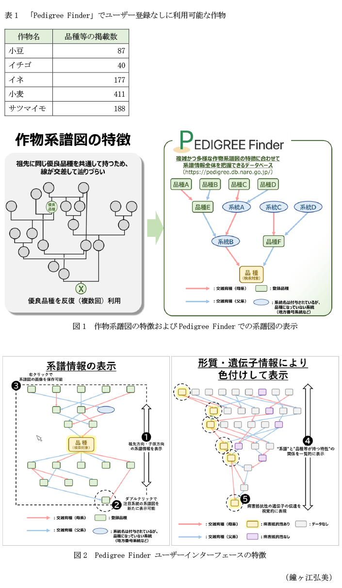 表1 「Pedigree Finder」でユーザー登録なしに利用可能な作物,図1 作物系譜図の特徴およびPedigree Finderでの系譜図の表示,図2 Pedigree Finder ユーザーインターフェースの特徴