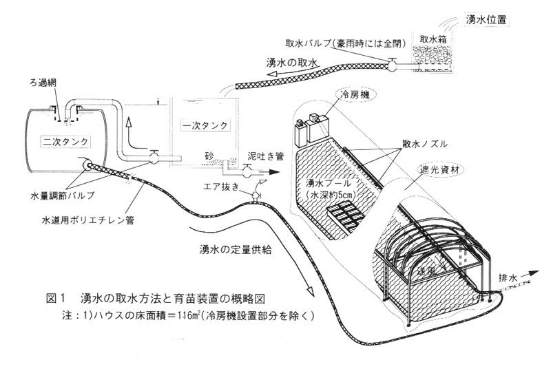 図1.湧水の取水方法と育苗装置の概略図