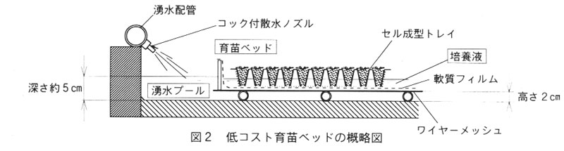 図2.低コスト育苗ベッドの概略図