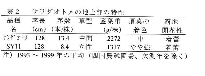 表2.サラダオトメの地上部の特性