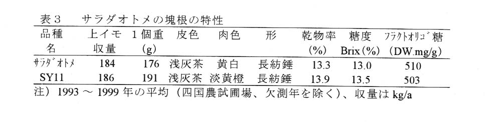 表3.サラダオトメの塊根の特性