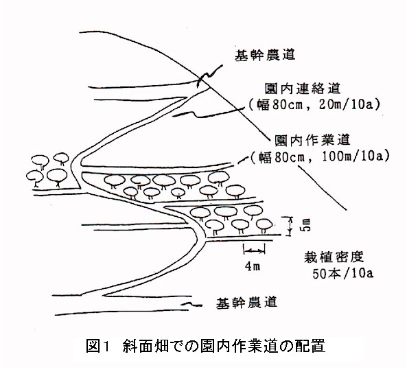 図1.斜面畑での園内作業道の配置